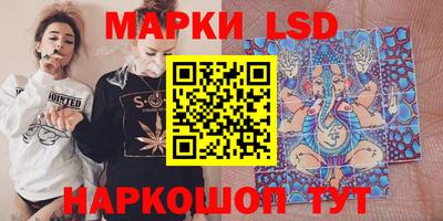 крисы Холмск