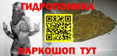крисы Холмск