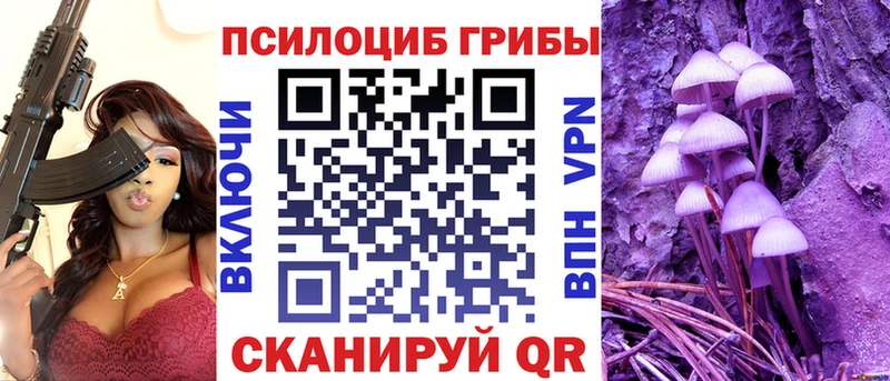 Галлюциногенные грибы прущие грибы  как найти наркотики  Алейск 