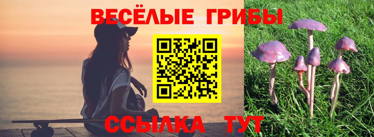 Псилоцибиновые грибы MAGIC MUSHROOMS Алейск