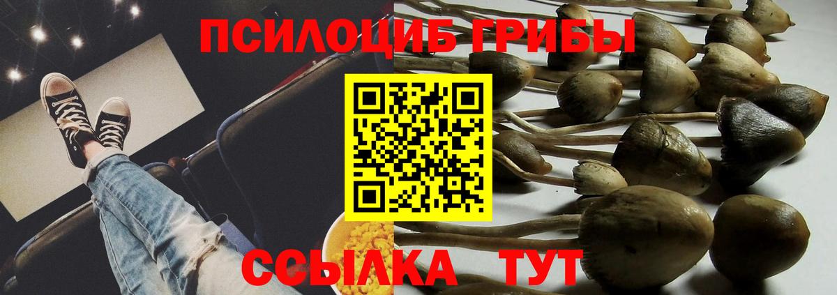 Псилоцибиновые грибы прущие грибы  Псилоцибиновые грибы мицелий  Вход с VPN  Алейск 