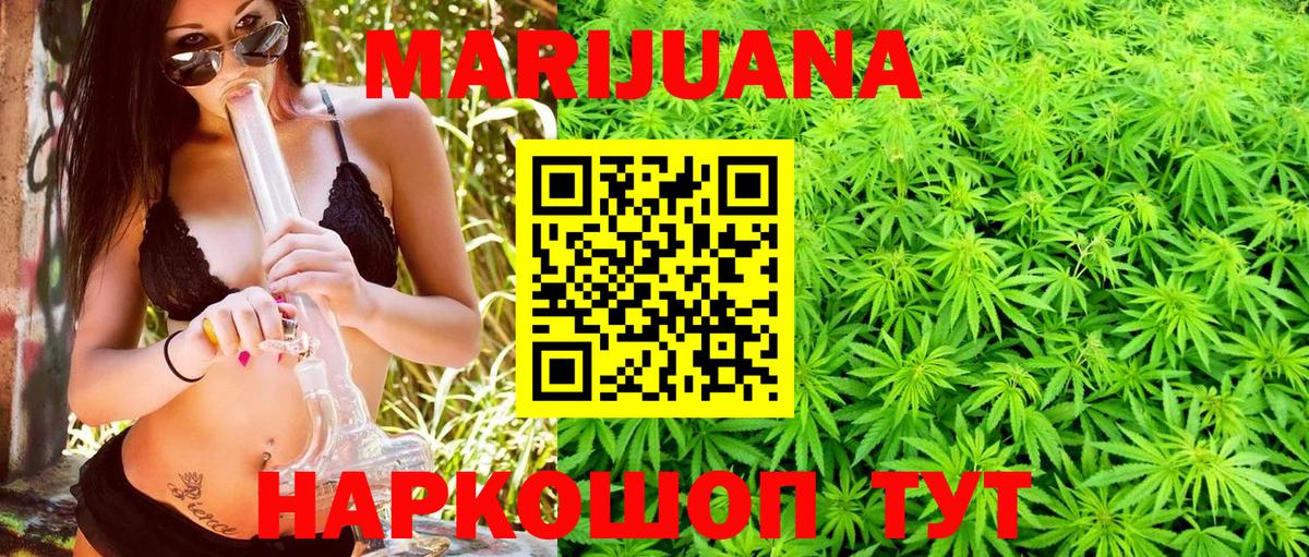 Канабис гибрид Алейск